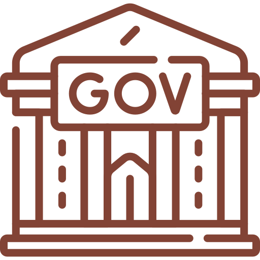 government government
